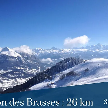 Homey Mosa - Au Pied Du Tram - Proche Centre - Balcon Prive - Wifi Et Netflix Apartment *